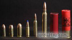 bullet Urdu Meaning