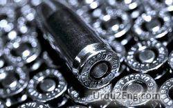 bullet Urdu Meaning
