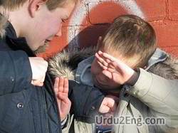 bully Urdu Meaning