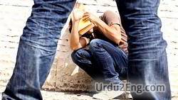bully Urdu Meaning