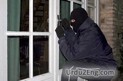 burglar Urdu Meaning