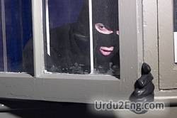 burglar Urdu Meaning