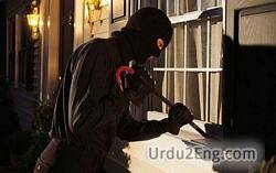 burglary Urdu Meaning