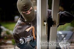 burglary Urdu Meaning