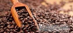 caffeine Urdu Meaning
