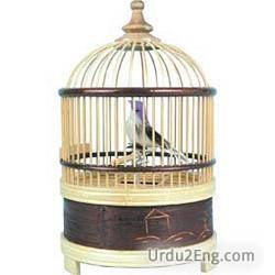 cage Urdu Meaning