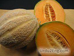cantaloupe Urdu Meaning
