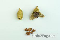 cardamom Urdu Meaning