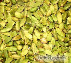 cardamom Urdu Meaning