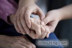 care Urdu Meaning
