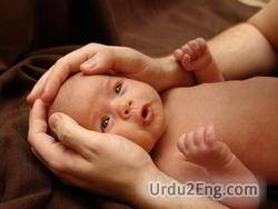 care Urdu Meaning