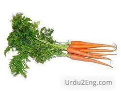carrot Urdu Meaning