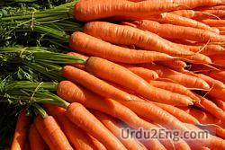 carrot Urdu Meaning
