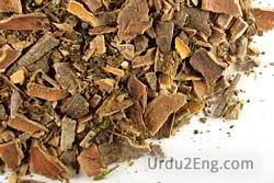 cascara Urdu Meaning