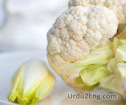 cauliflower Urdu Meaning