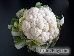 cauliflower Urdu Meaning