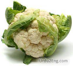 cauliflower Urdu Meaning