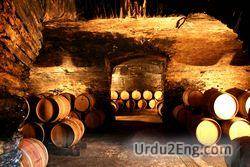 cellar Urdu Meaning