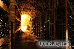 cellar Urdu Meaning