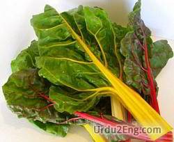 chard Urdu Meaning