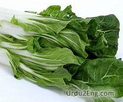 chard Urdu Meaning