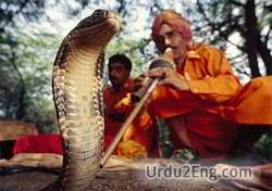 charmer Urdu Meaning