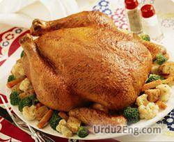 chicken Urdu Meaning