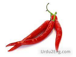chili Urdu Meaning