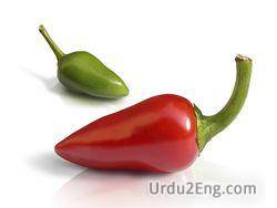 chili Urdu Meaning