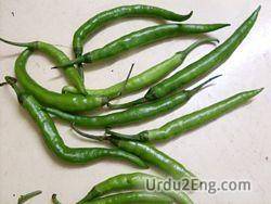 chili Urdu Meaning