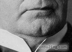 chin Urdu Meaning