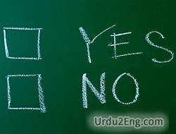 choose Urdu Meaning