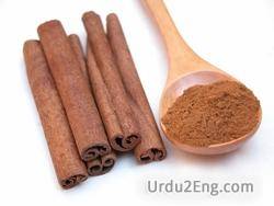 cinchona Urdu Meaning