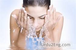 cleanser Urdu Meaning