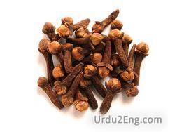 clove Urdu Meaning