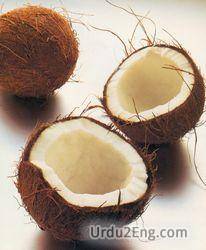 coconut Urdu Meaning