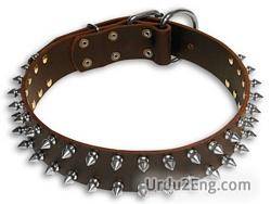 collar Urdu Meaning