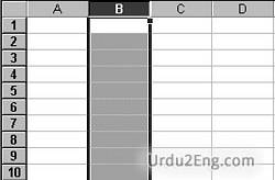 column Urdu Meaning