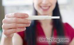 conceive Urdu Meaning