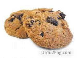 cookie Urdu Meaning