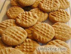 cookie Urdu Meaning