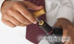 corkscrew Urdu Meaning