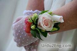 corsage Urdu Meaning