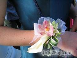corsage Urdu Meaning