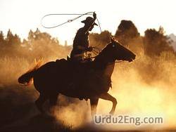 cowboy Urdu Meaning