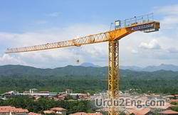 crane Urdu Meaning