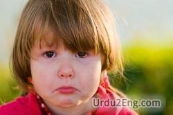 cry Urdu Meaning