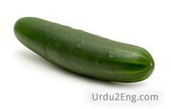 cucumber Urdu Meaning