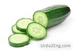 cucumber Urdu Meaning