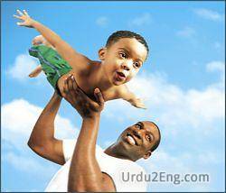 dad Urdu Meaning